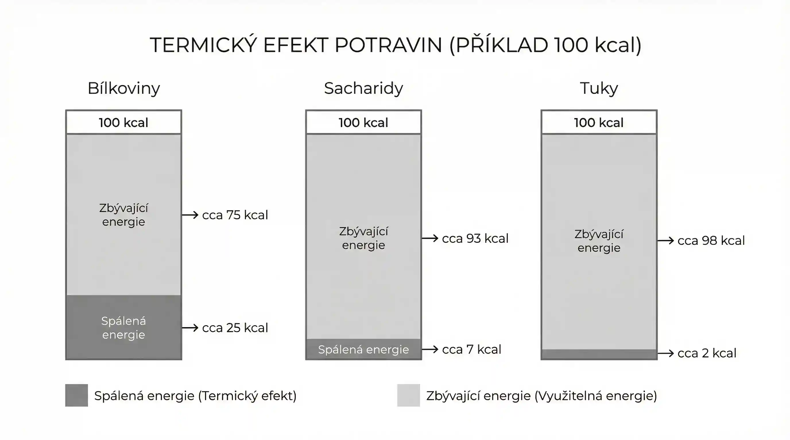 Termický efekt potravy Termický efekt potravy – kolik energie tělo spotřebuje na trávení bílkovin, sacharidů a tuků